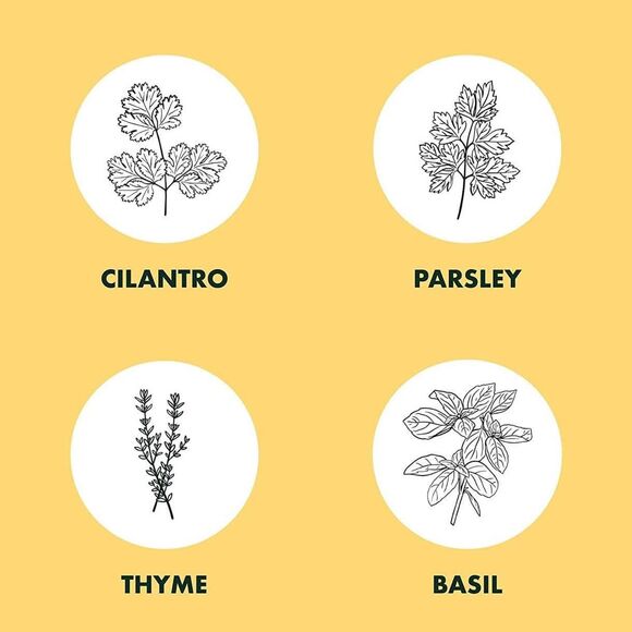 Indoor Herb Garden Starter Kit - Basil Thyme Parsley Cilantro Seed - Picture 4 of 6